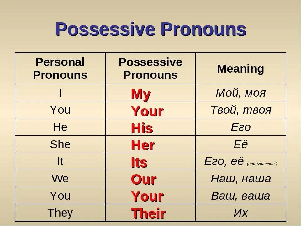 Its перевод на русский. Possessive местоимения в английском языке. Possessive adjectives в английском языке. Personal and possessive pronouns. Possessive pronouns в английском.