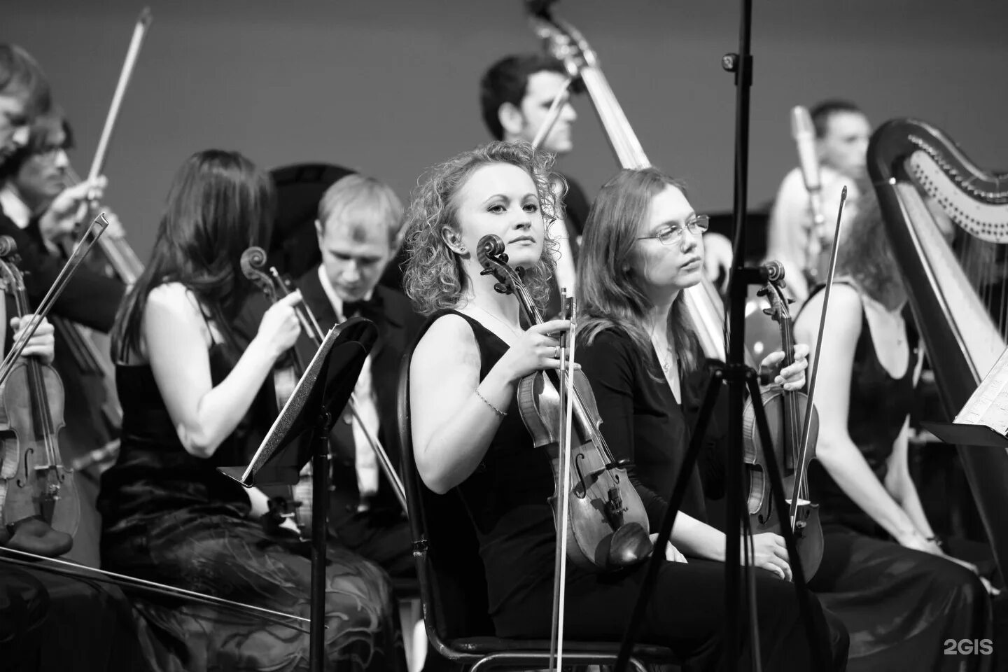 Александр рудин и оркестр «musica viva». Вива оркестр. Вива оркестр. Вива оркестр. Московский камерный оркестр.