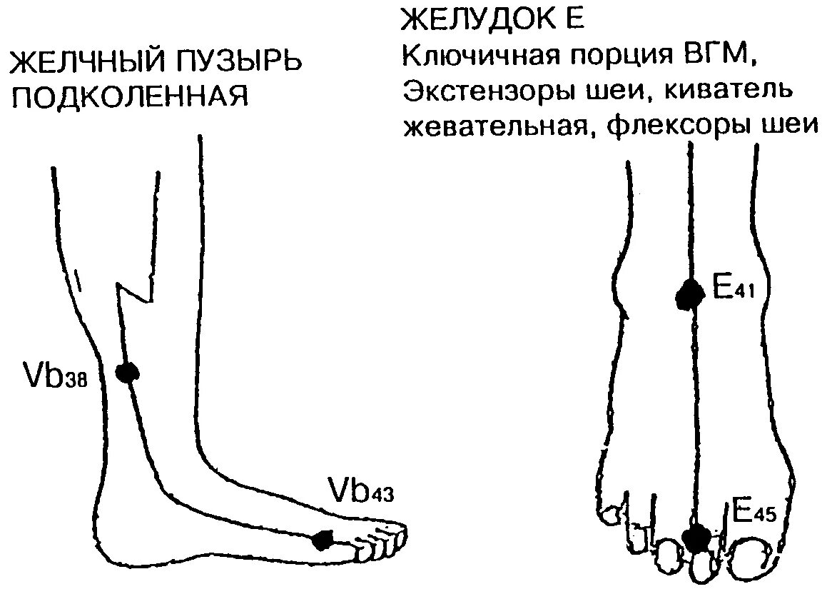 Тонизирующие и седативные точки меридианов. Седативные точки меридианов. Седатация точки. Успокаивающие точки меридиана желудка.