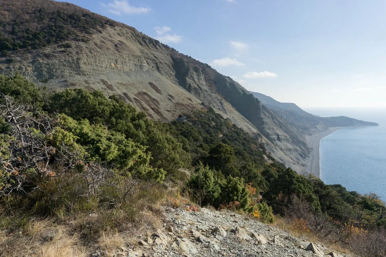 Заповедник черноморского побережья кавказа название. Большой утриш в анапе. Анапа заповедник большой утриш. Можжевельниковый лес утриш. Анапа гора большой утриш.