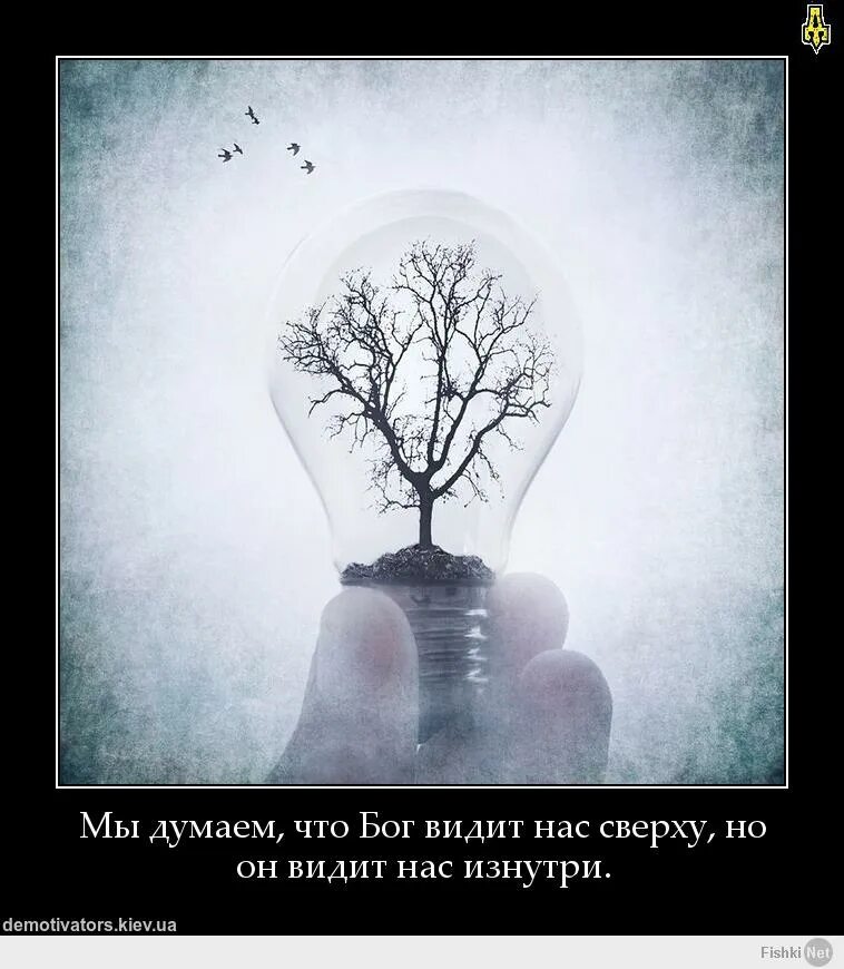 Фраза со скрытым смыслом. Рисунки со смыслом. красивые картинки со смыслом. картины со смыслом про жизнь. русунке со смыслом.
