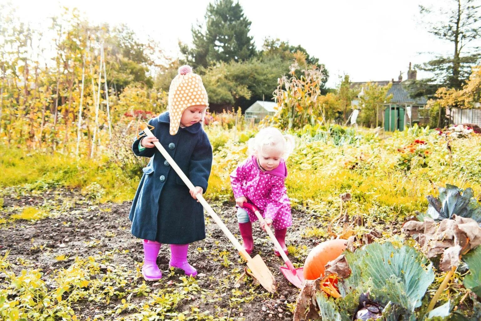 Огород для детей. Уборка огорода. Работа в огороде. Осенние хлопоты в саду и огороде.