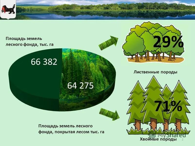 Самые большие площади на суше занимают. Общая площадь лесного фонда России. Площадь лесов на земле. Площадь лесов в России. Состав лесного фонда.