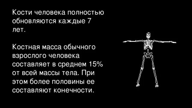 Масса костей взрослого человека. Масса костей в теле человека. Скелетная масса человека. Вес костной массы человека. С какой частотой обновляются кости