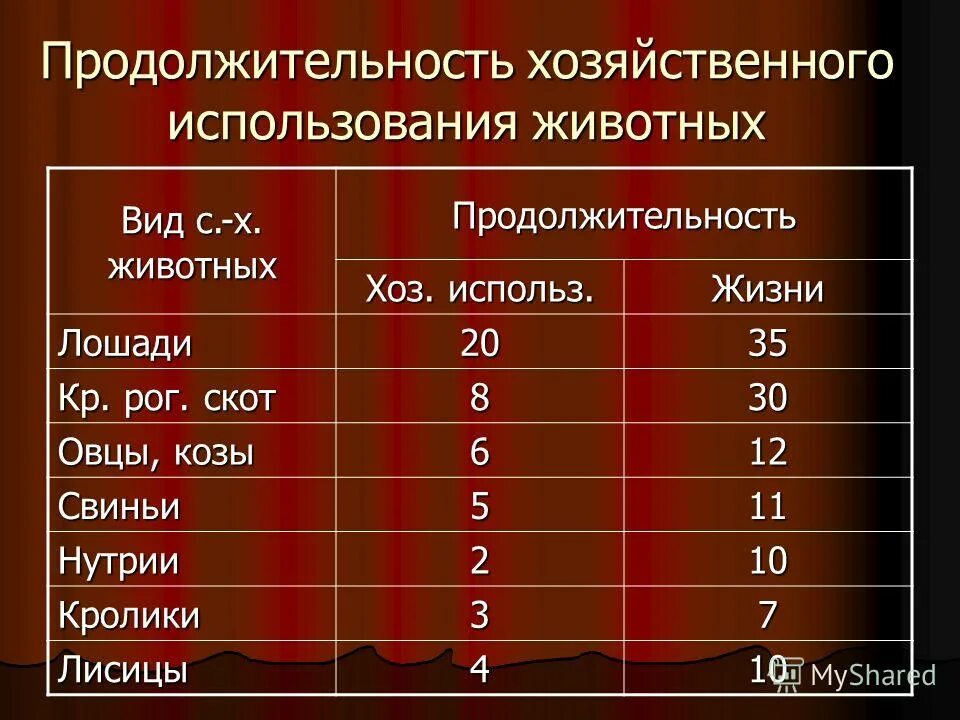 средняя продолжительность жизни лошади. продолжительность жизни лошади. возраст лошади. продолжительность жизни лошади. продолжительность жизни лошадей в среднем.