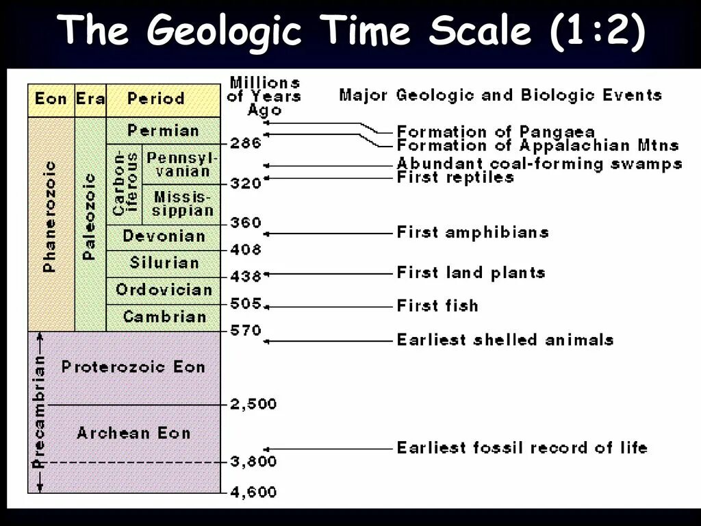 Time scaling. Geological time scale. timescale. host_timescale 1.2.