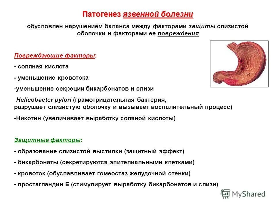Массаж при язвенной болезни желудка. Массаж при язвенной болезни желудка