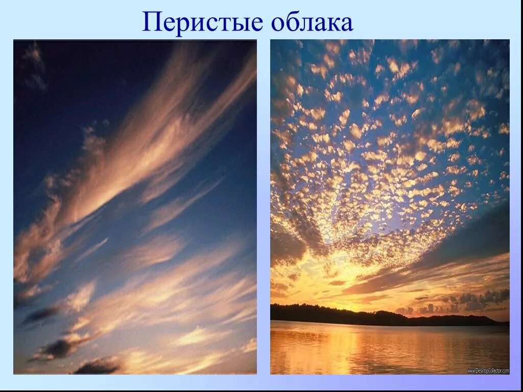 Какие встречаются облака. Виды облаков перистые. перистые облака разновидность. форма перистых облаков. перисто кучевые облака осадки.