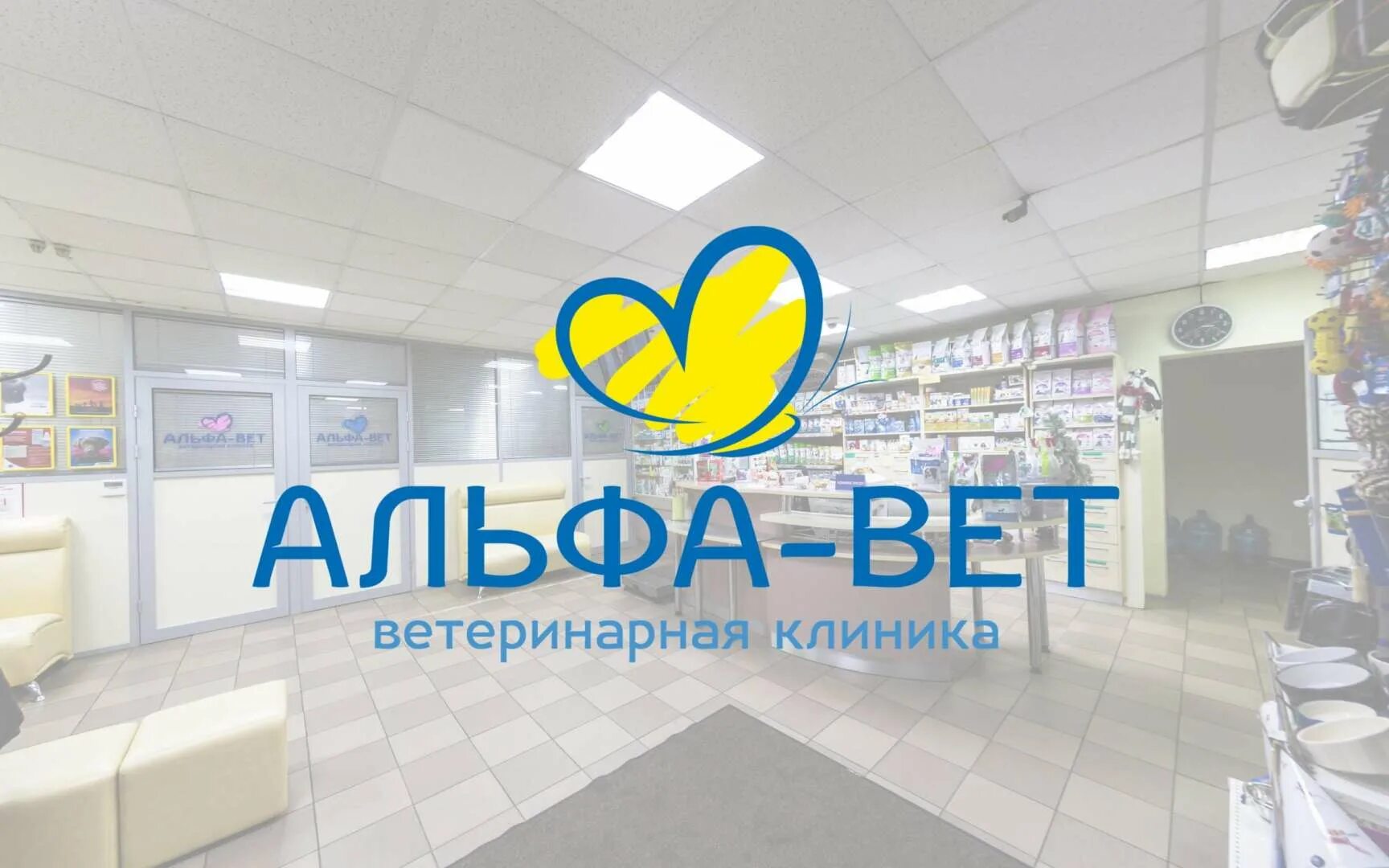 Альфа друг воронеж. Альфа друг воронеж. Альфа друг воронеж. Альфа ветклиника тамбов. Альфа друг.