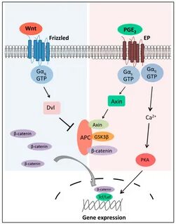 Kit signaling