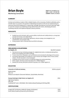 Cv for jobs experience