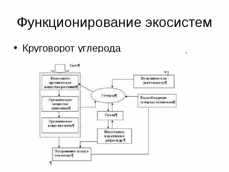 Функционирование экосистем. Механизмы функционирования экосистем. Принципы функционирования экосистем экология. Принципыфункционирование экосистемы. Экосистемы круговорот углерода