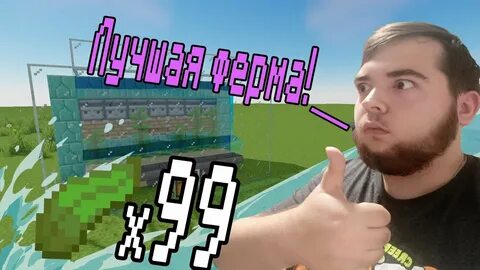 Ферма ламинарий