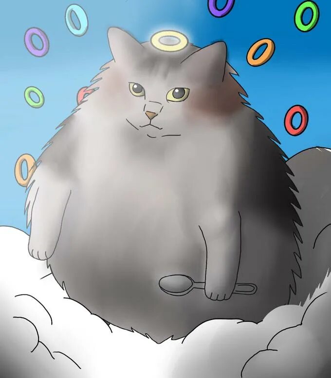 Loops cat. Loops cat