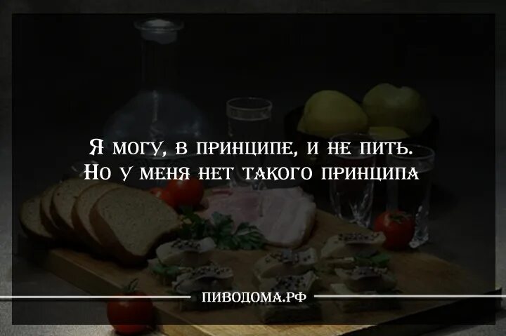 Пьющий просто не может. Цитаты про алкоголь. Прикольные высказывания про алкоголь. Афоризмы про алкоголь прикольные.