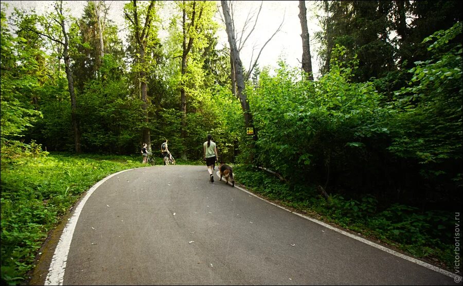 парк им ларисы лазутиной.