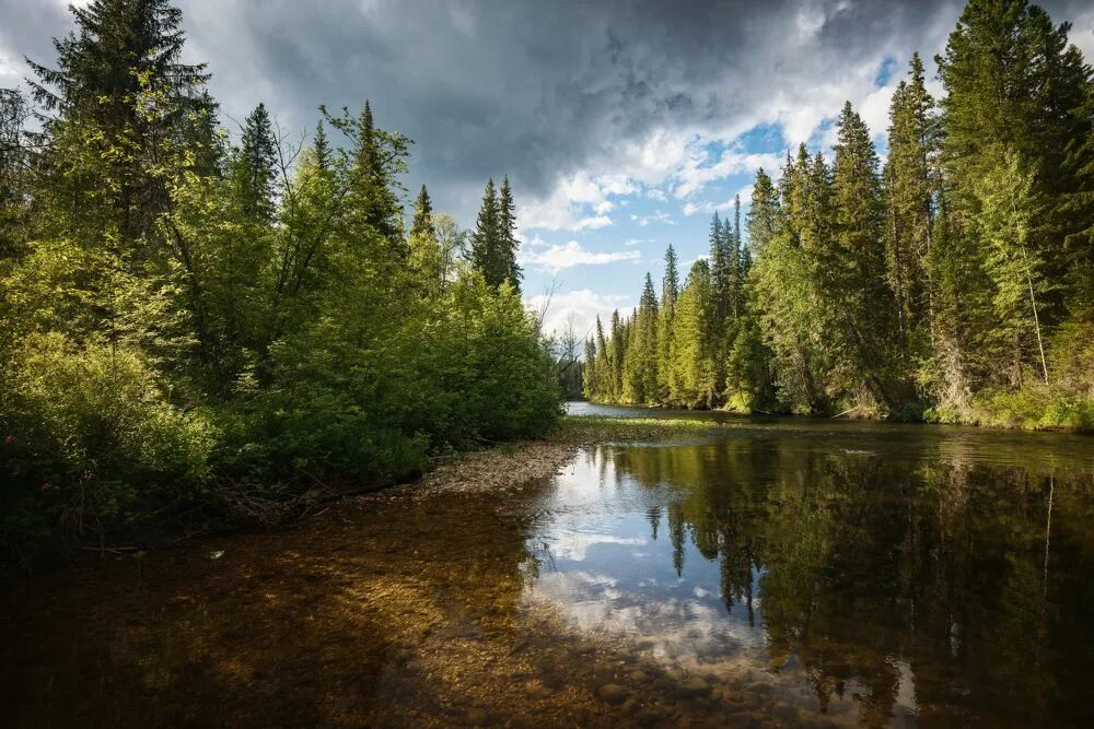 Улс (река). Река улс Североуральск. Таежная река. Река улс фото.