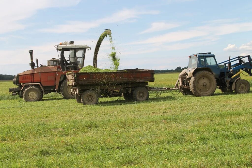 Баз в хозяйстве. Комбайн t500 ростсельмаш. Эко нива агрохолдинг. День поля россельхозцентр фото. Трактор колхоз.