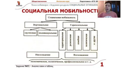 Социальные отношения обществознание задания
