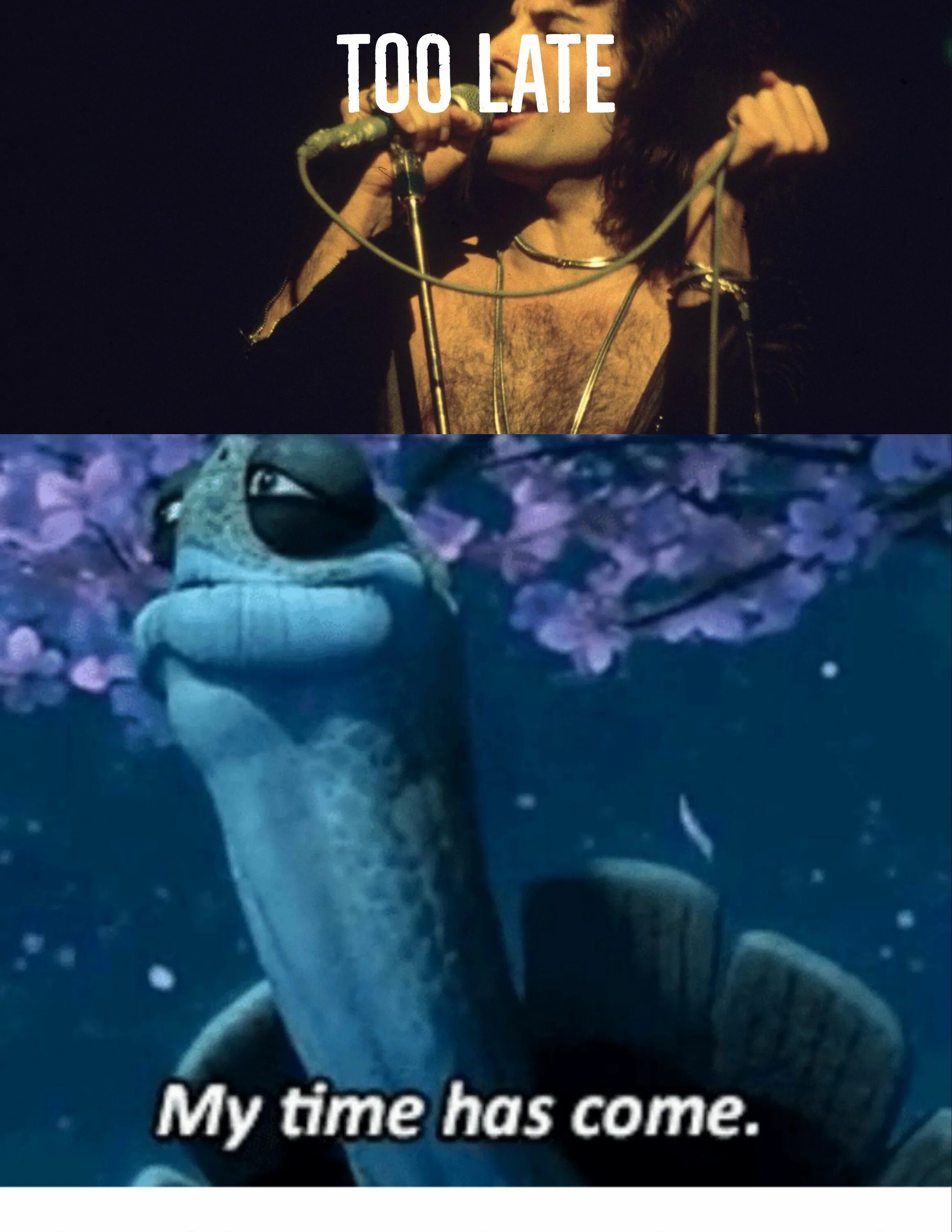 Send shivers down your spine. My time has come oogway. the time has come meme. send shivers down my spine. come meme.