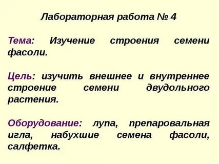 Лабораторная работа 7 по биологии 6 класс