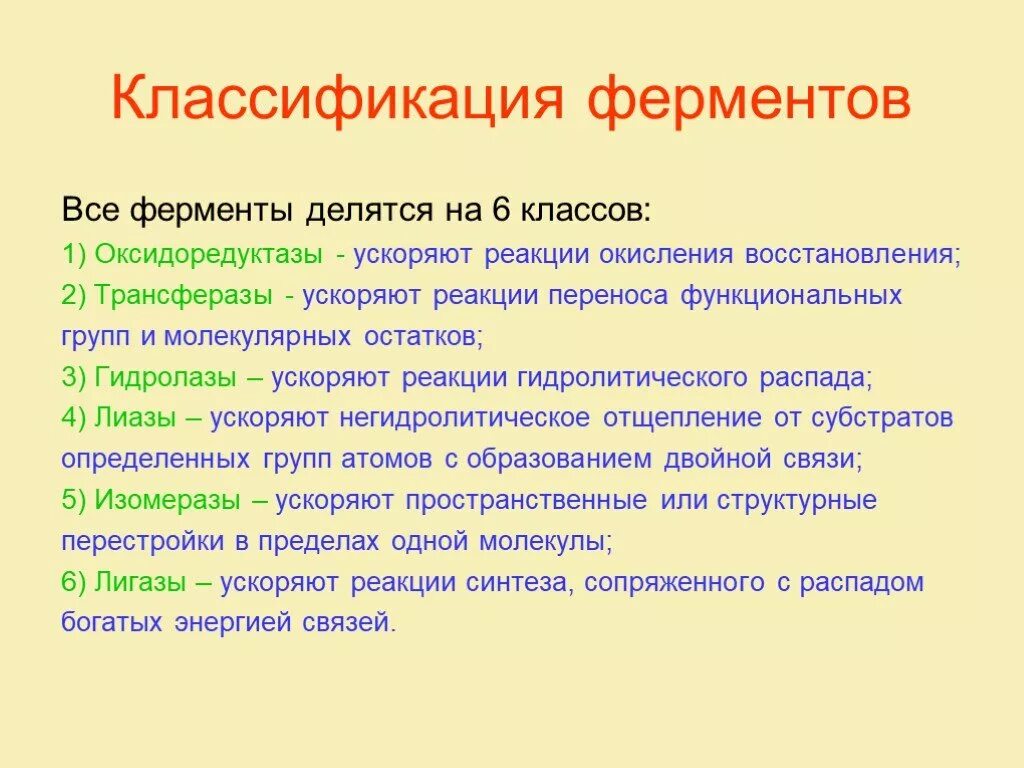 Классификация ферментов. Ферменты делятся на. Ферменты делятся на 6 классов. Ферменты 9 класс. Количество известных ферментов