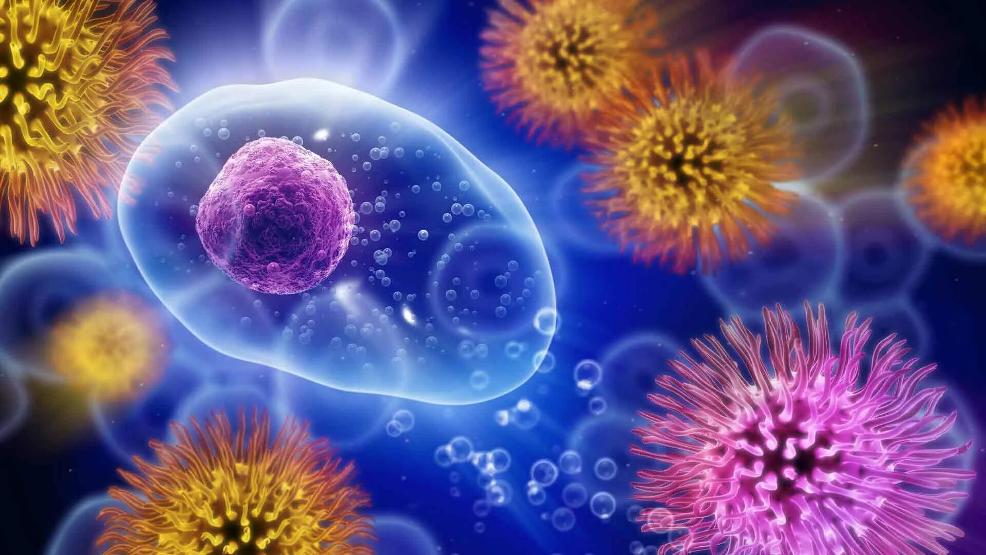 Artificial immune system. Artificial immune system