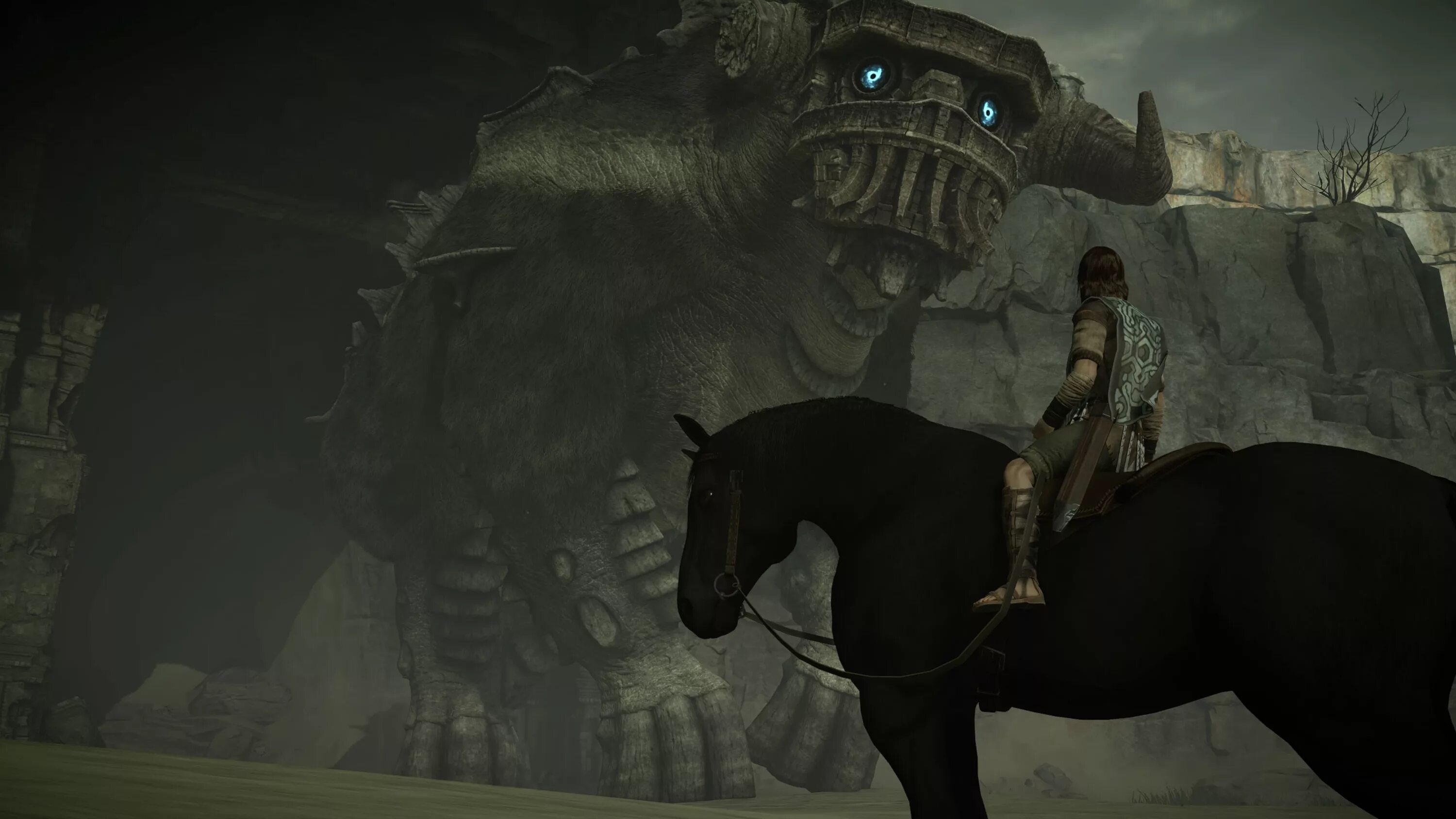 Shadow of the colossus на пк. Shadow of the colossus quadratus. shadow of the colossus арго. shadow of the colossus таурус магнус. shadow of the colossus игнас.