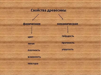 Характеристики древесины 5 класс