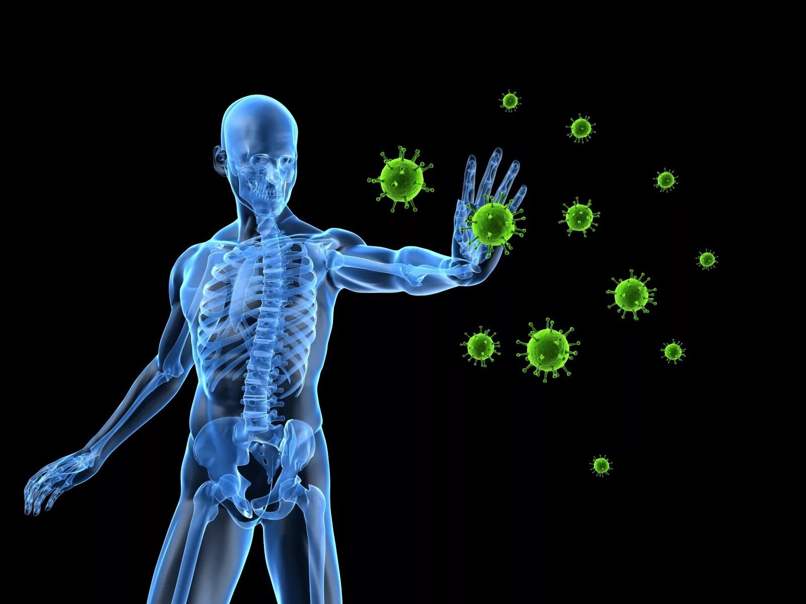 Химическая защита организма. Иммунная система. Здоровая иммунная система. Иммунитет иммунная система человека. Иммунная система человека картинки.