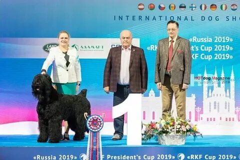 Эксперты ркф отзывы