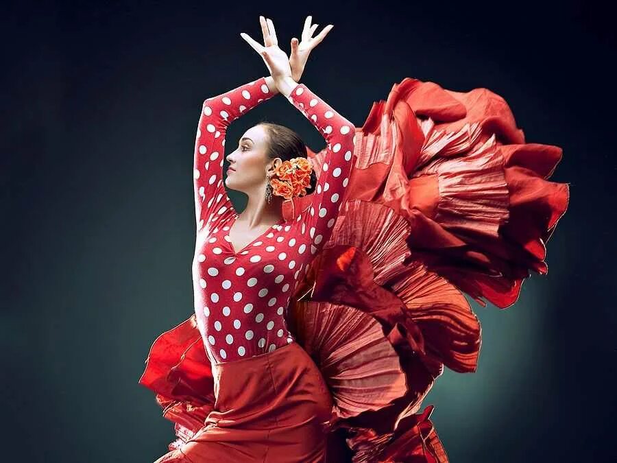 Фламенко для начинающих. Фламенко танец. испанский танец фламенко. испанка фламенко. испанский танец фламинго.