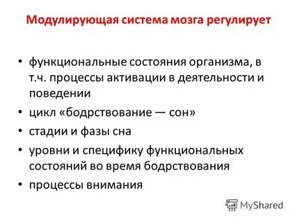 Функциональная система мозга