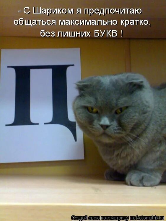 котенок по имени гав неприятности. неприятность эту мы переживем картинки. цитаты из книги сестренка. статусы про неприятности. неприятность 7 букв.