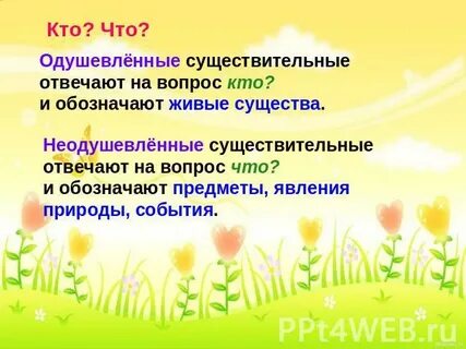 Слова предметы отвечают на вопрос что
