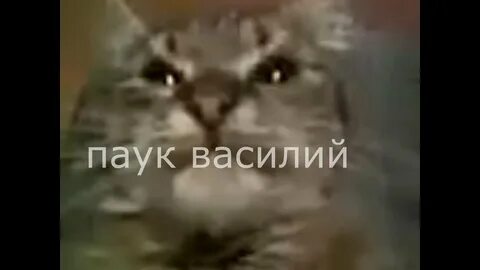 Ты маму мал что это