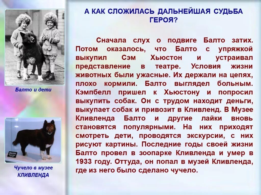 Общая судьба героев. Собаки Балто в реальной жизни. Музей Кливленда чучело Балто. Балто история. Собака Балто рассказ.