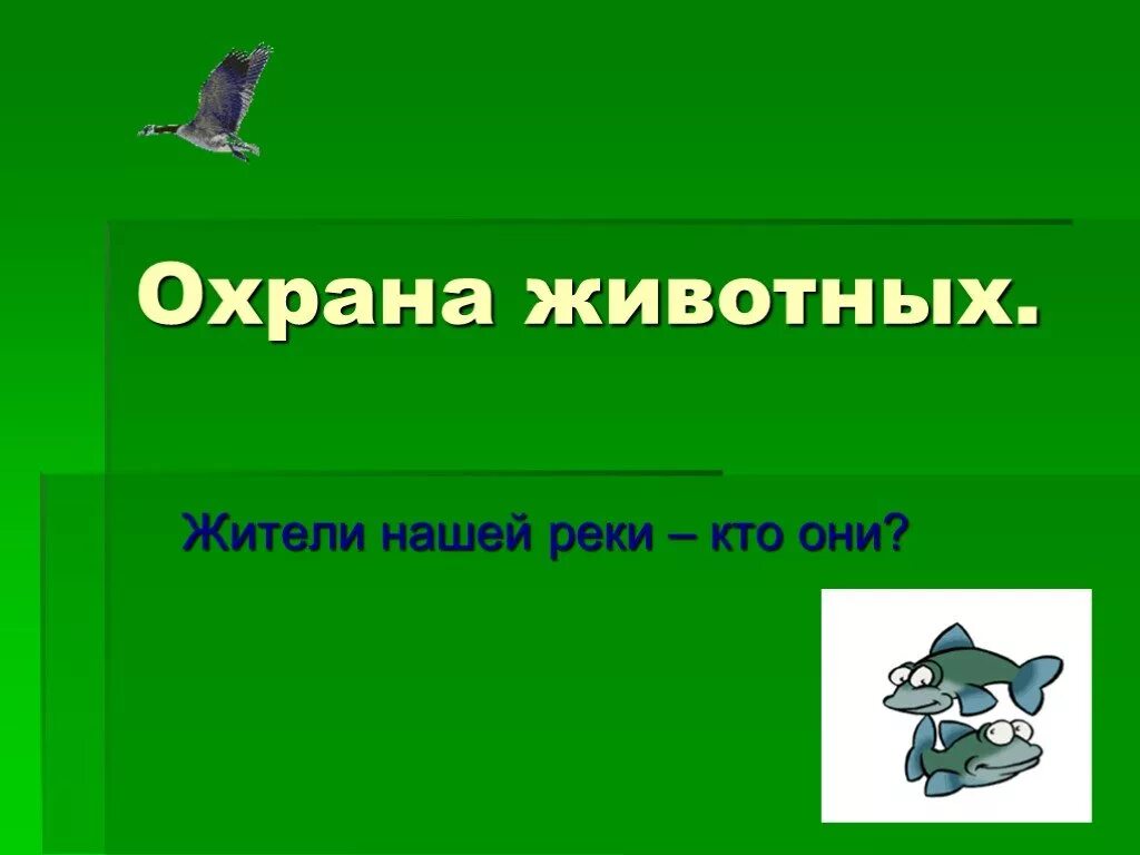 Охрана животных. Охрана животных 3 класс. Охрана животных 3 класс окружающий мир. Охрана животных презентация.