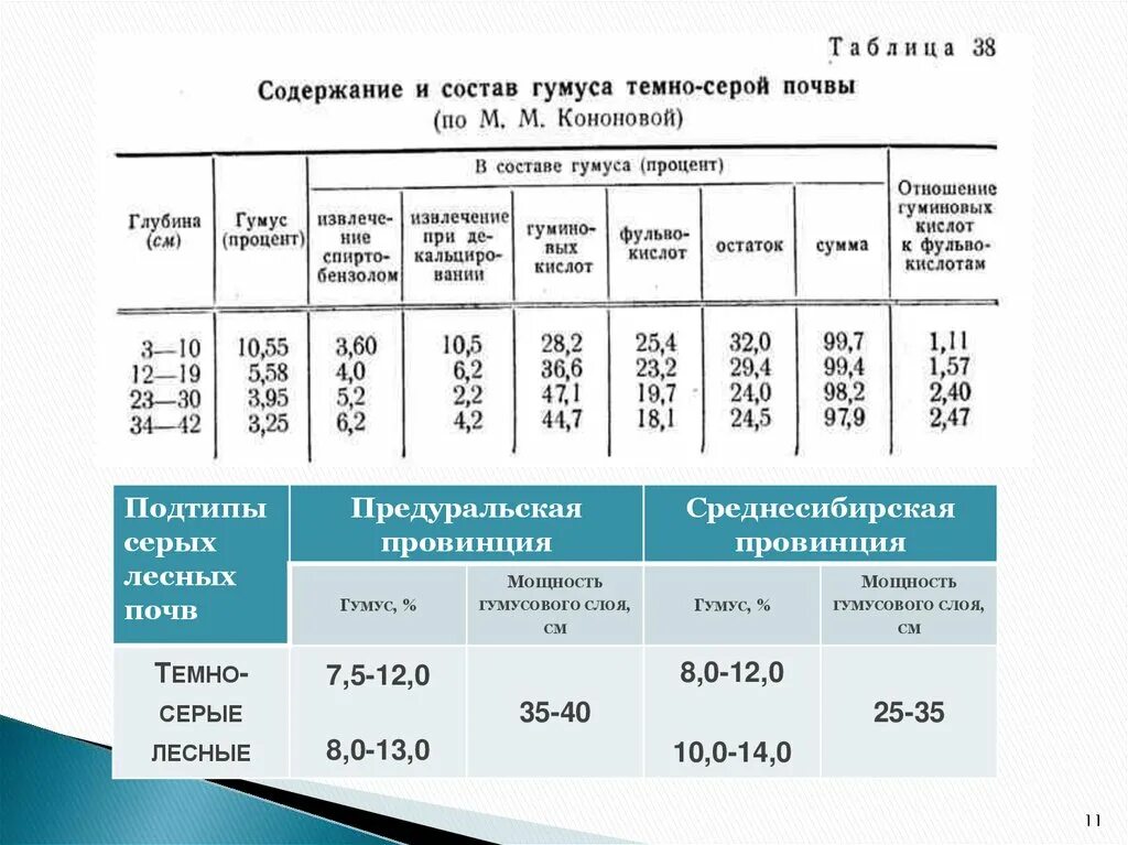 Таблица мощность гумуса в почвах. Серые Лесные содержание гумуса. Содержание гумуса в почве. Темно серая Лесная почва гумус. Наибольшее содержание гумуса в почве