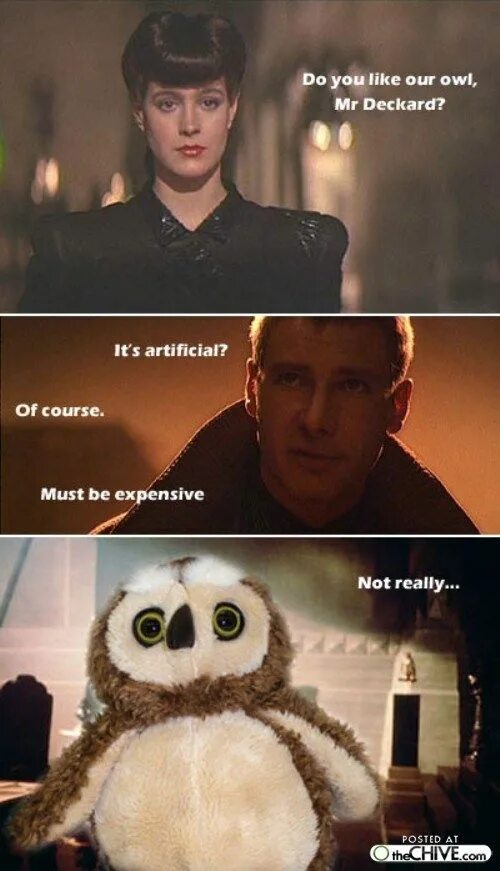 Like our. Blade Runner do you like our Owl?. Do you like our Owl.