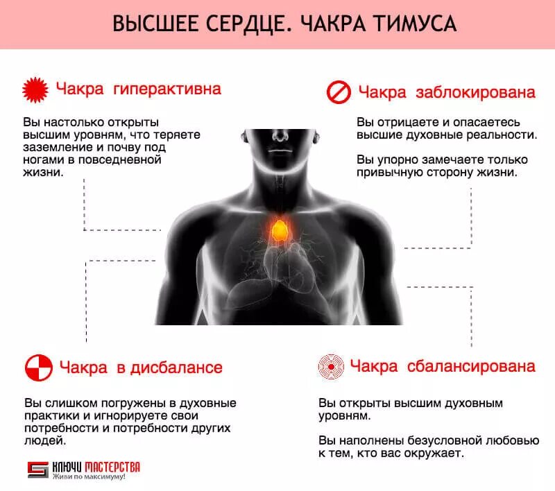 Высокое сердце значение. Тимус чакра. вилочковая железа чакра. чакра тимуса расположение. духовное сердце человека где находится.