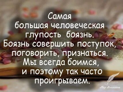 Добрый человек это глупый человек