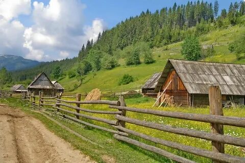 Какие бывают селы