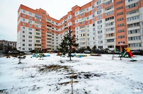Звездова 62 1 омск доброе