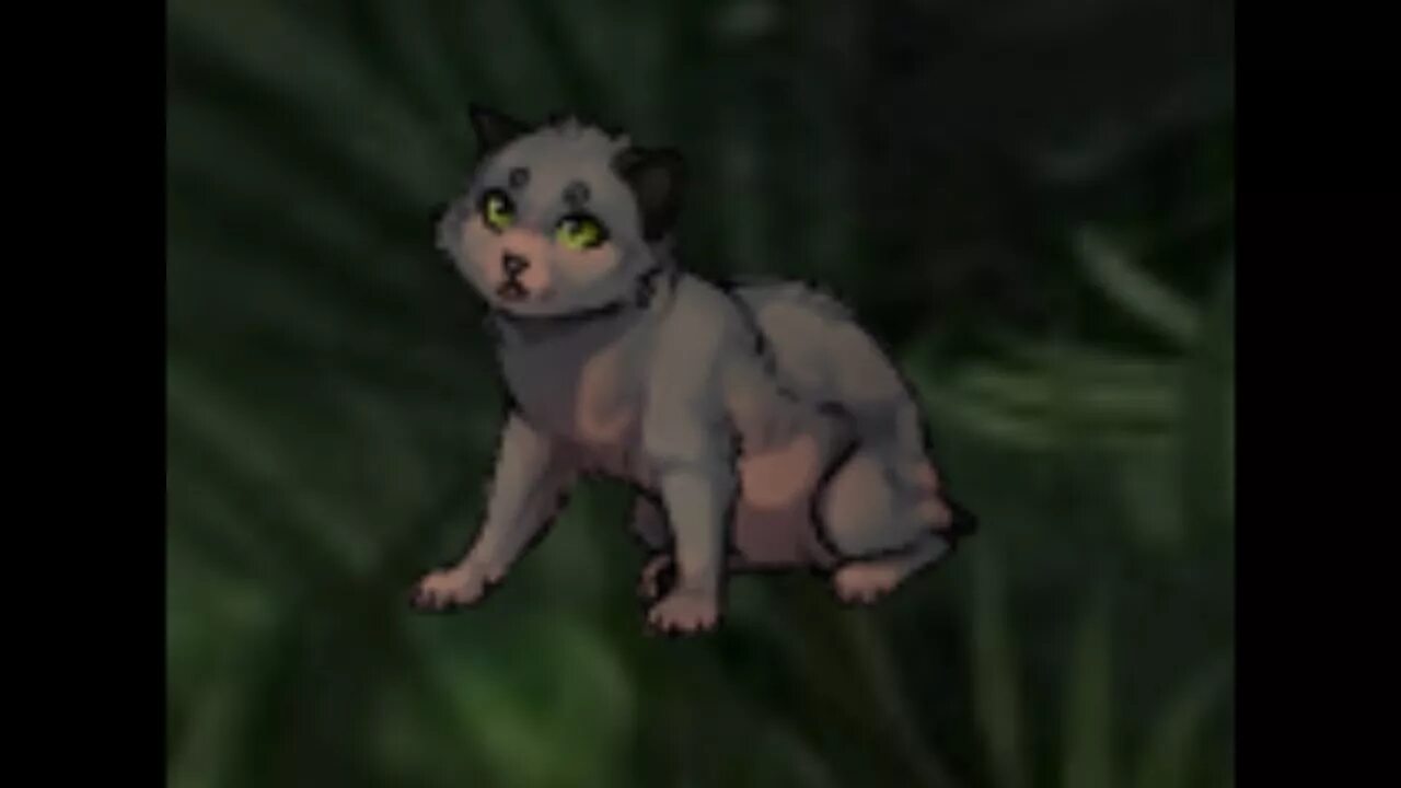 Особые окрасы кэтвар. Финел кэтвар. Кэтвар котята. Перерождение кэтвар. Системолап и транзакция.