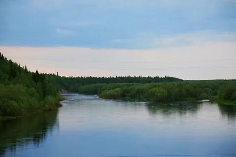 Погода коми сыня