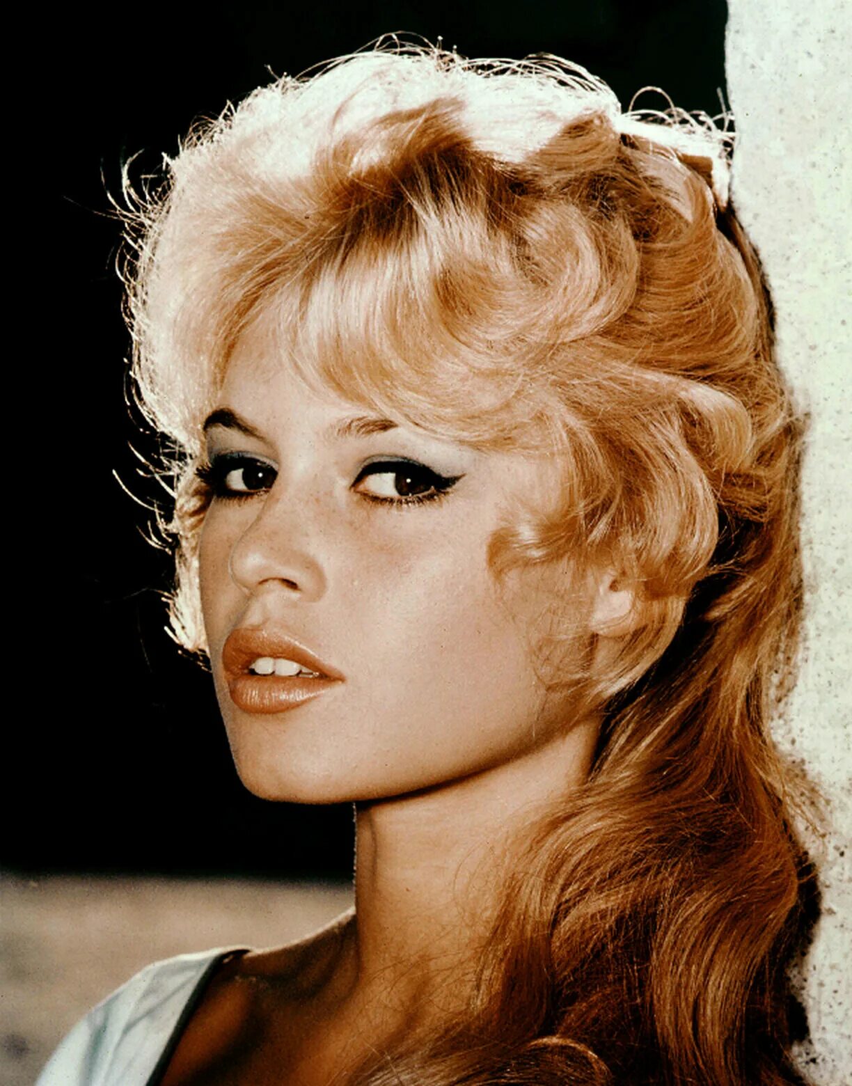 брижит бардо актриса. бордо бриджит. бриджит бардо. бриджит бардо 2020. брижит бардо в молодости.