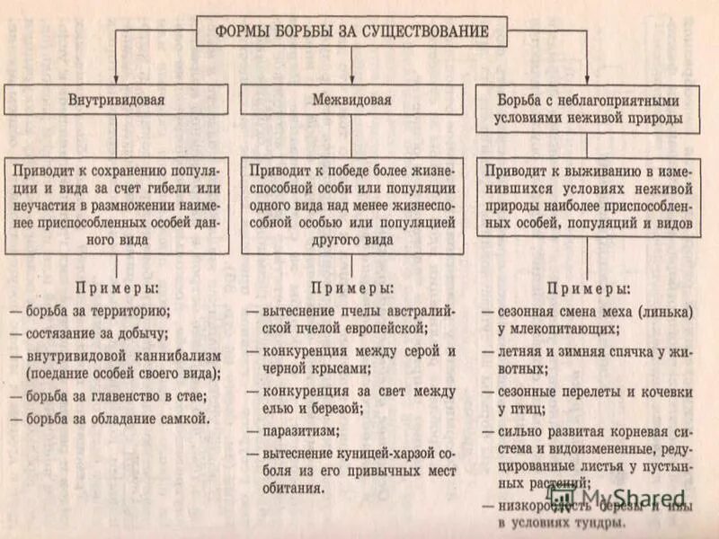 Таблица форма борьбы за существование характеристика примеры. Таблица по биологии формы борьбы за существование. Формы борьбы за существование таблица с примерами. Характеристика форм борьбы за существование таблица. Выбери три верных характеристики борьбы за существование