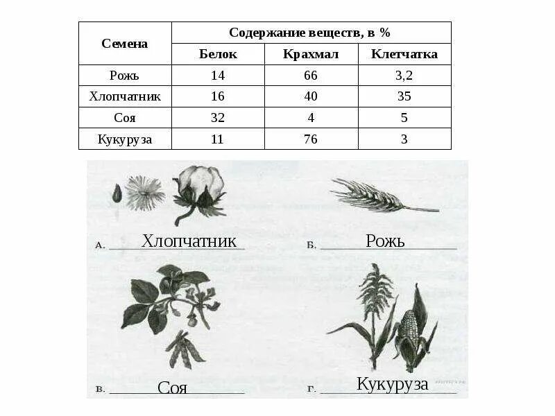 Решу впр биология 7кл 2024 с ответами. Задания ВПР 5 класс биология. ВПР 5 класс биология темы. ВПР по биологии 5 класс биология 5 задание. Задачи по биологии 5 класс.