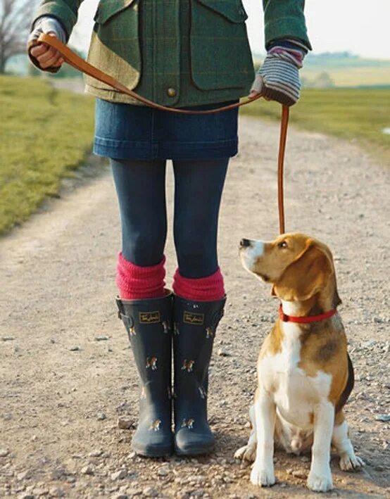 прогулка с собакой. гулять с собакой. подросток выгуливает собаку. поводок для пробежек с собакой. утренняя прогулка с собакой.